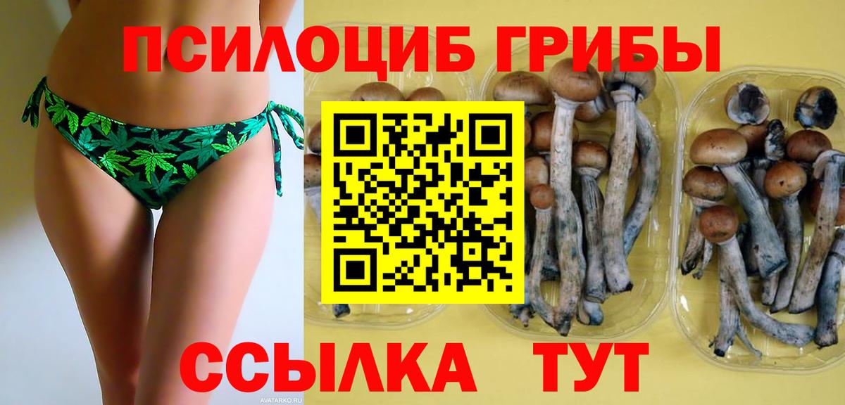 Лениногорск  Галлюциногенные грибы мицелий  даркнет сайт  Вход с VPN 